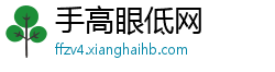 手高眼低网